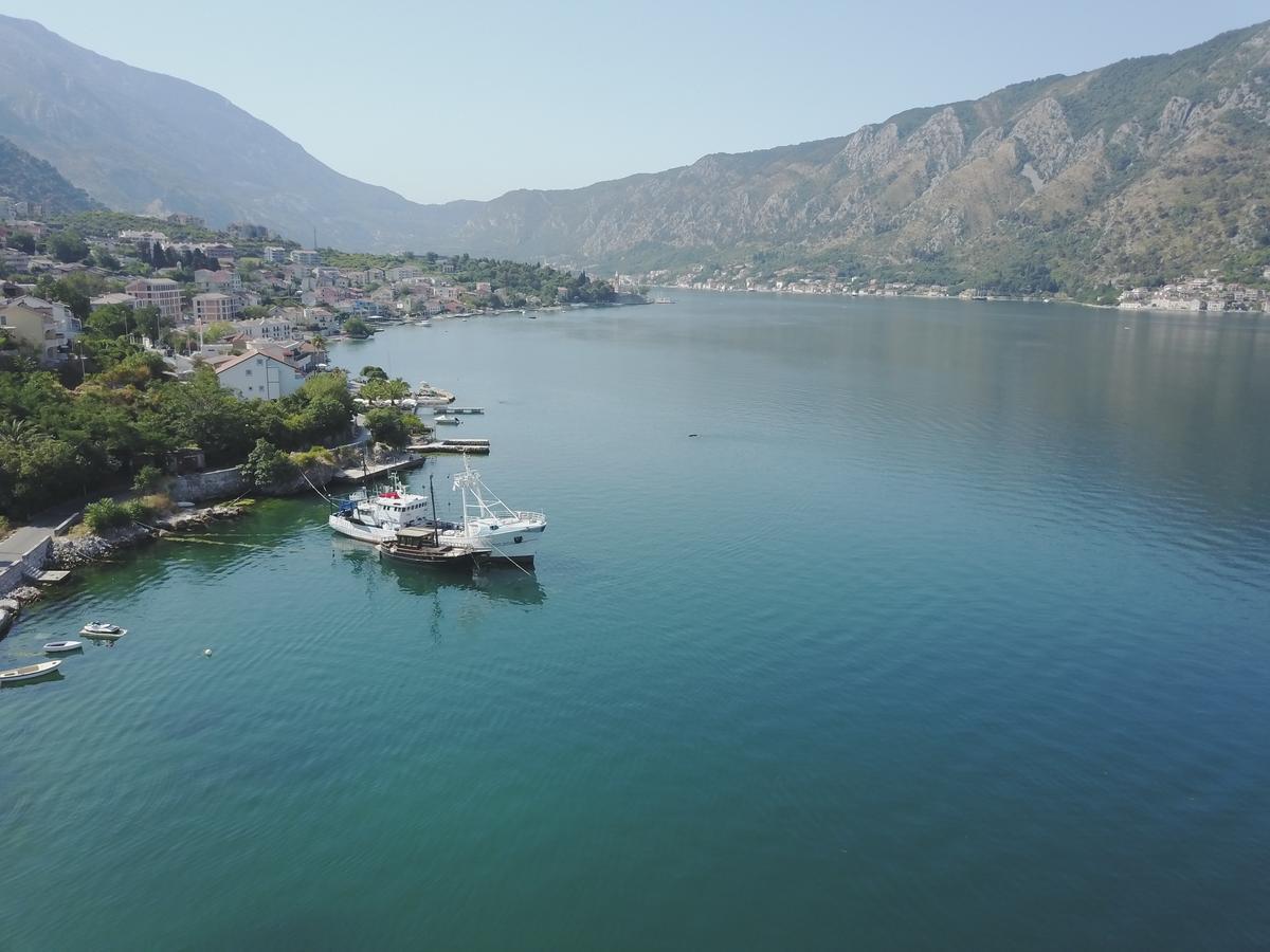 Apartments Bella Di Mare Kotor Eksteriør bilde